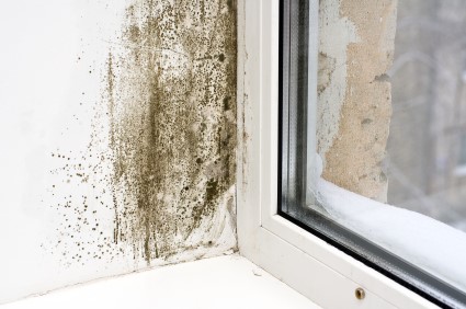 Mold Removal in Bensalem by Remediation Pros LLC