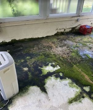 Mold Removal in Mount Laurel, NJ (1)