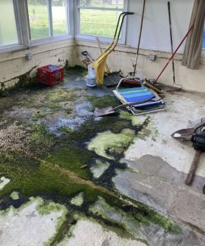 Mold Removal in Mount Laurel, NJ (3)