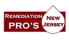 Remediation Pros LLC
