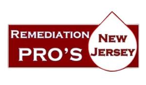Remediation Pros LLC