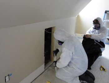 Worker in protective gear cutting out damaged flooring in an empty room during renovation