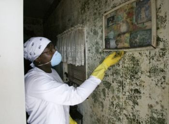 Mold Removal in Mount Laurel Township by Remediation Pros LLC